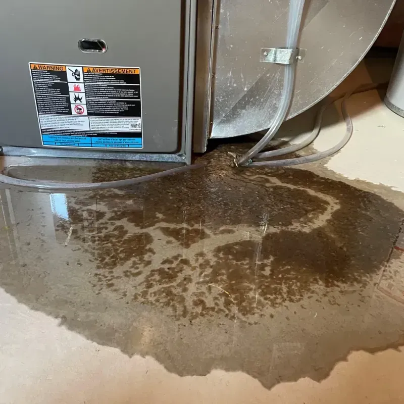 Appliance Leak Cleanup in Weston, OH